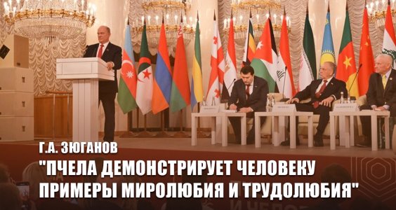 Г.А. Зюганов: «Пчела демонстрирует человеку примеры миролюбия и трудолюбия»